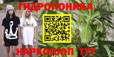 дмт Ливны