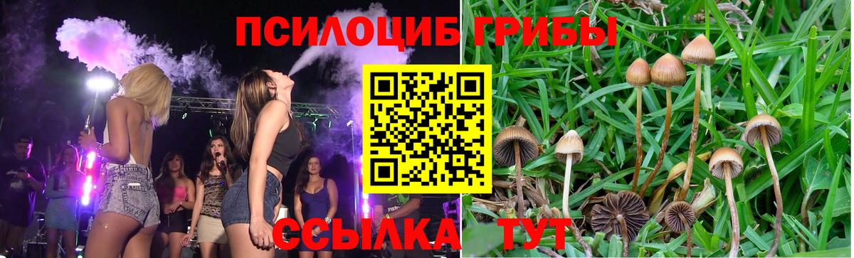Галлюциногенные грибы GOLDEN TEACHER Богородицк
